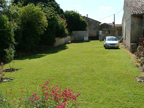 In the front garden: a decent lawn at last