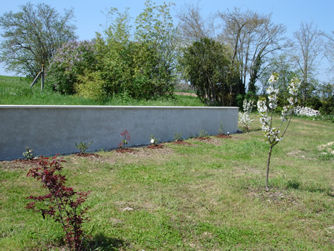 Garden wall: spring blossom, newly planted hedge, and view of Arlette's orchard and open fields behind