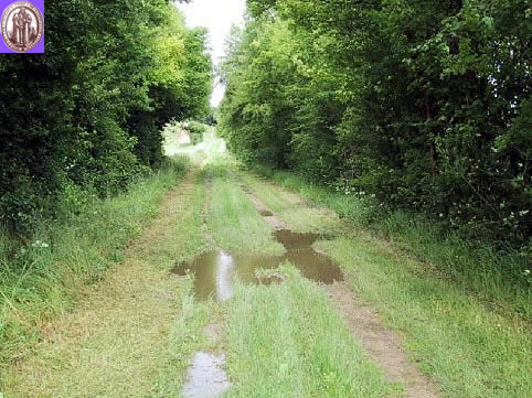 The old Roman road today